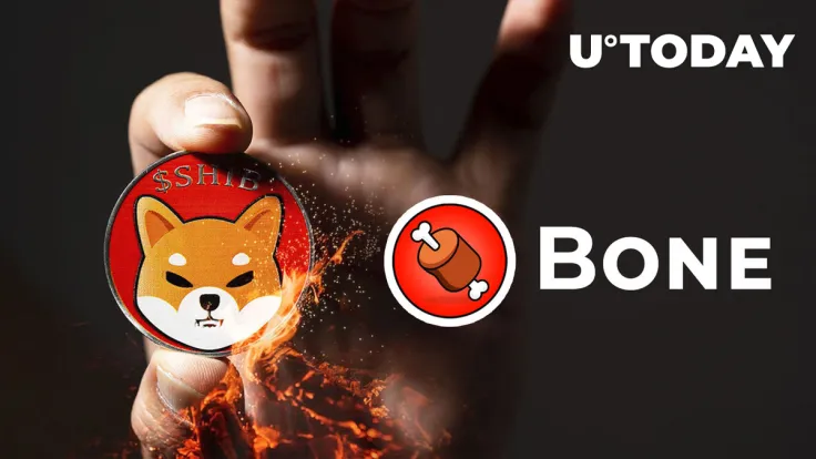Shibarium to Roll Out This Week, Users Will Grab BONE to Burn Shiba Inu (SHIB): Bone ShibaSwap