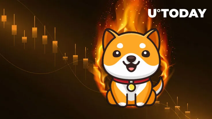 Baby Doge Coin (BabyDoge) Down 28% Weekly Despite Burn Portal Takeoff, Listings