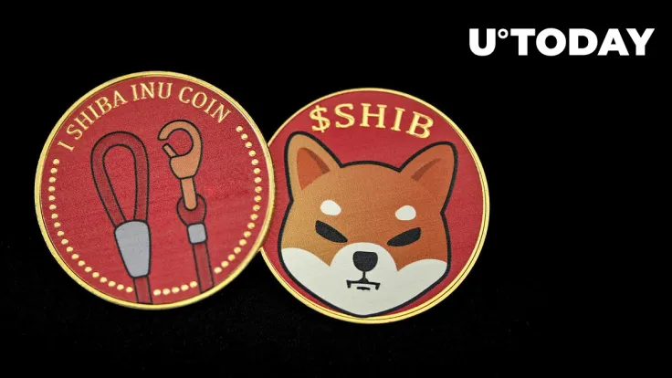 Shiba Inu's LEASH Hits Major Price Point After Rallying 60%, Here's What's Next
