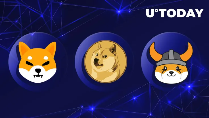 Shiba Inu (SHIB), Dogecoin (DOGE) Surpassed by FLOKI by Trading Volume: Potential Reasons