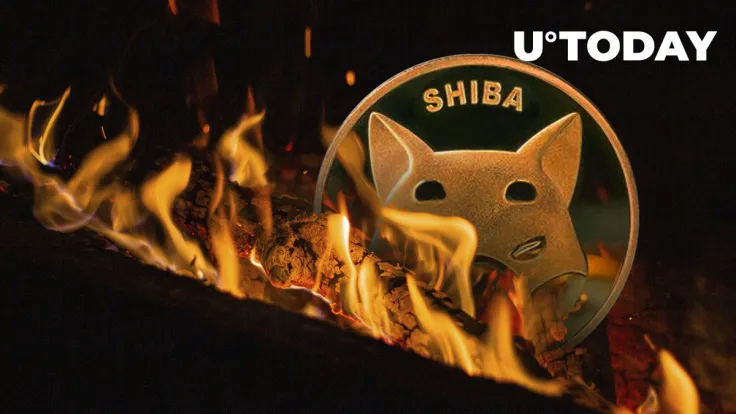 Shiba Inu (SHIB) Burn Rate Continues to Decline, Here's What May Be Keeping It Down