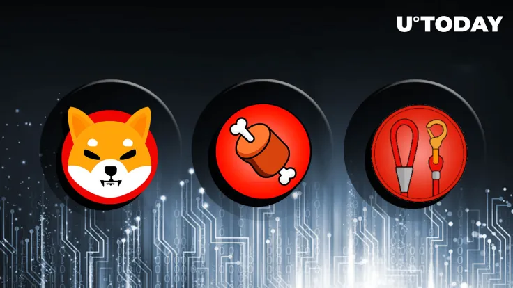 Shiba Inu (SHIB), BONE and LEASH Biggest Holder Revealed, Here's Who It Is