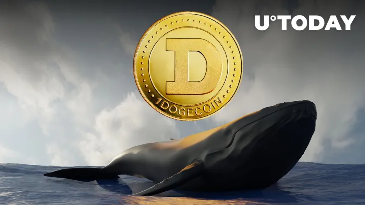 Dogecoin (DOGE) Grew Its Whale Transaction Count WTD, Key Trends to Watch out For