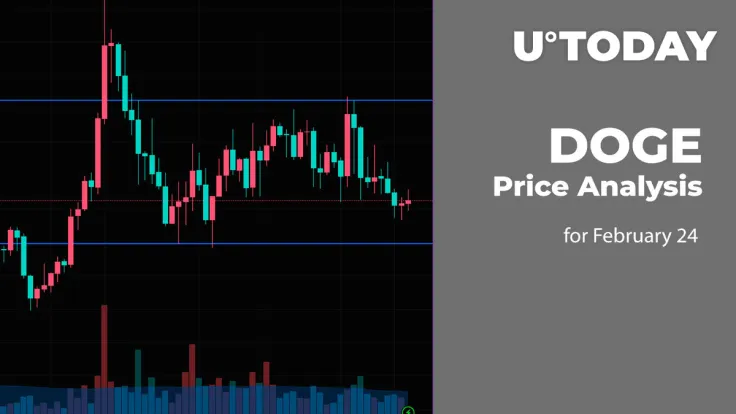 DOGE Price Analysis for February 24