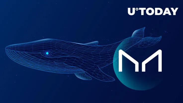 Maker (MKR) Sees Largest Whale Move in Months Following 24,300 MKR Transfer