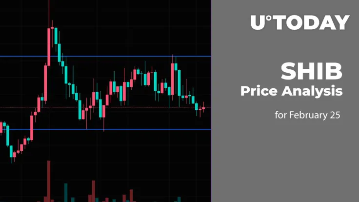 SHIB Price Analysis for February 25