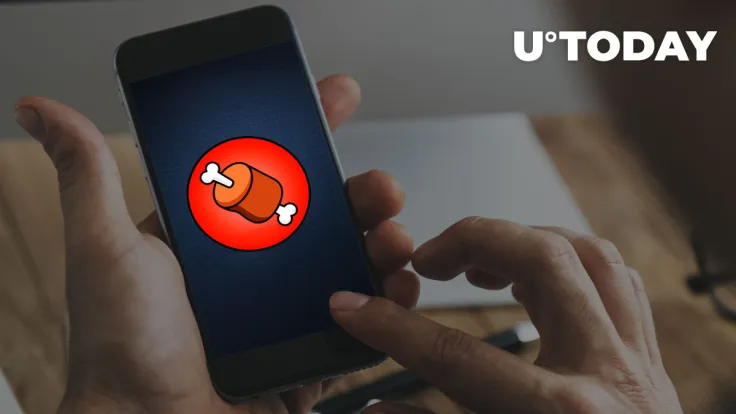 Shiba Inu Bone Large Holder With Million Tokens Appears Ahead of Shibarium Layer 2