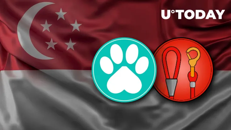 Shiba Inu Tokens LEASH and PAW Achieve New Listing on Major Singaporean Exchange