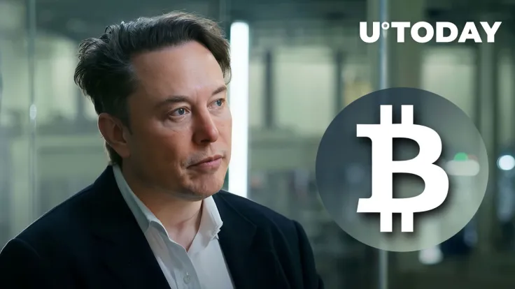 BTC Community Wants Elon Musk to Integrate Bitcoin Lightning Payments, Poll Says