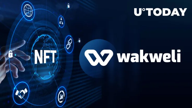 NFT Certification Protocol Wakweli Closes First Funding Round with $1.1 Million Raised