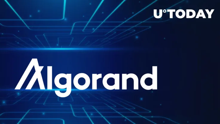 Algorand (ALGO) CTO Gives Update on Recent Exploit Impacting Multiple Accounts