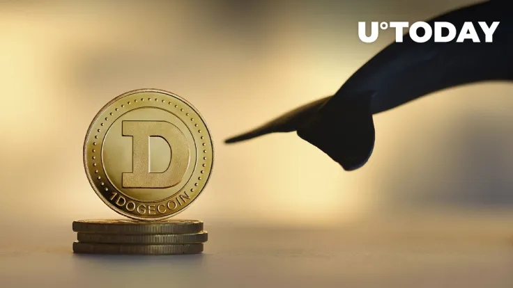 Dogecoin Gains Traction, Whales Hold Billions of DOGE at These Levels: Analyst
