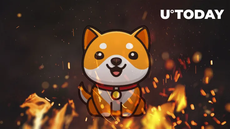 Baby Doge Coin (BabyDoge) Burns Massive 1 Quadrillion Tokens, Here's Price Reaction