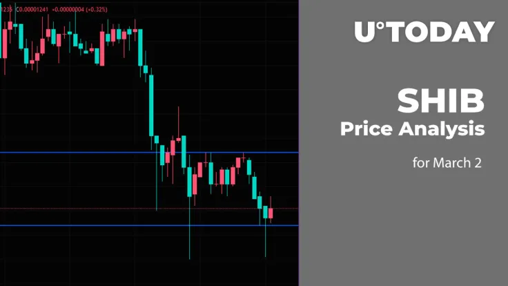 SHIB Price Analysis for March 2