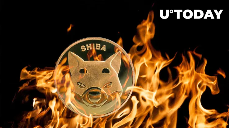 Shiba Inu (SHIB) Burn Rate up 840%, Here's What This Means for Price