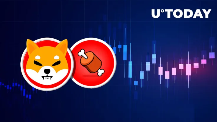 Shiba Inu's BONE Price Presents This Recovery Scenario, Here's What It Is