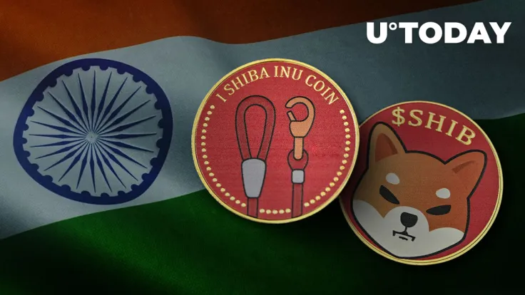 Doge Killer (LEASH) Might Be Listed on India's Largest Crypto Exchange: Details