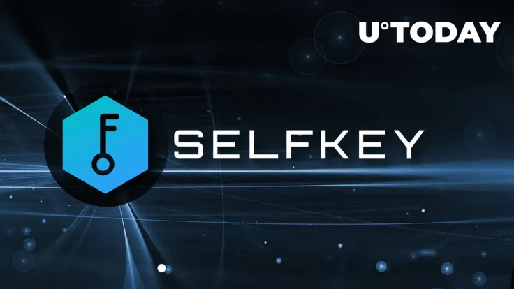 SelfKey Introduces Digital Verification Solutions Backed by ZK and AI Tools
