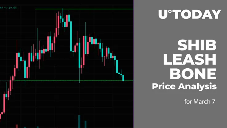 SHIB, LEASH and BONE Price Analysis for March 7