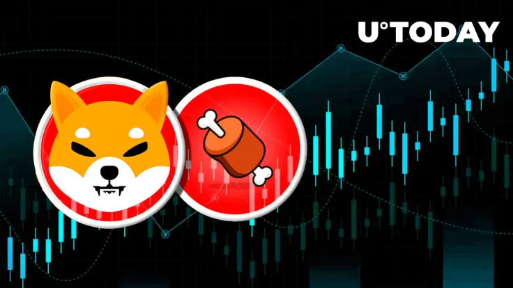 Shiba Inu's BONE up 8% on Latest Shibarium News, Here Are Its Key Targets