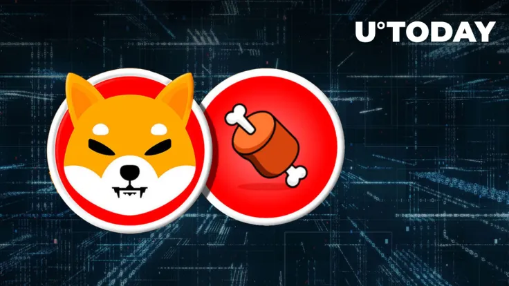 Shiba Inu: Bone ShibaSwap Token Soars as It Lands New Exchange Listing