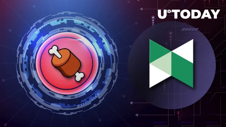 Shiba Inu's BONE Now Listed on Poloniex Crypto Exchange: Details