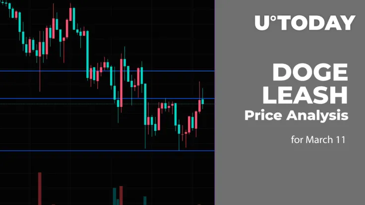DOGE and LEASH Price Analysis for March 11