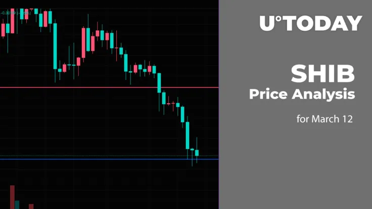 SHIB Price Analysis for March 12
