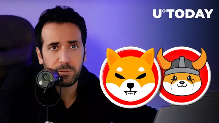 Shiba Inu (SHIB) and Floki Inu (FLOKI) to Be Spent by David Gokhshtein on Daily Purchases: Details