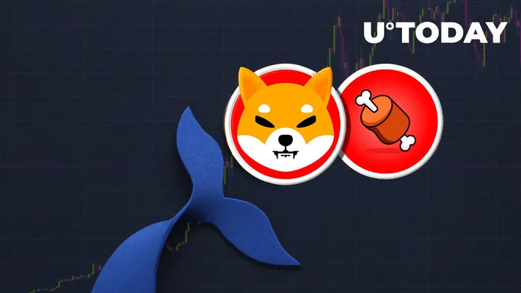 Major BONE Whales Increase Holdings After Shibarium Beta Release