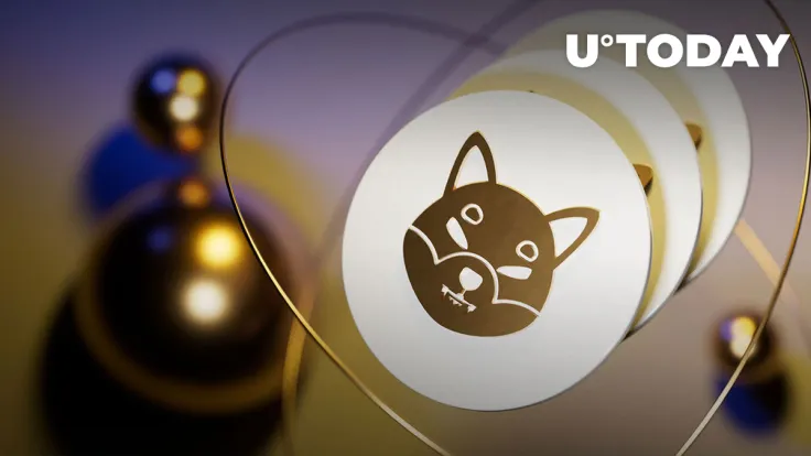 Shiba Inu: Million Businesses Can Now Accept SHIB, Swap for 160 Currencies via This Solution