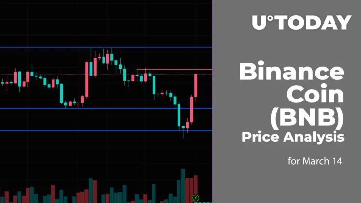 Binance Coin (BNB) Price Analysis for March 14
