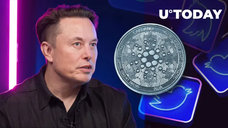 Elon Musk Tweets This, and Cardano's Most Hyped AI Project Spikes 15%