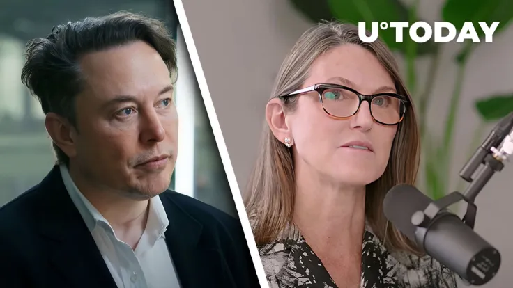 Elon Musk Responds to Cathie Wood About Bitcoin (BTC), Ethereum (ETH) Rising in Current Bank Crash