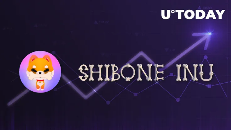 This New Shiba Inu Rival Jumps 61% Amid Market Rout, Here's Reason