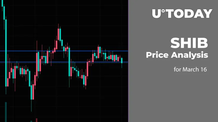 SHIB Price Analysis for March 16