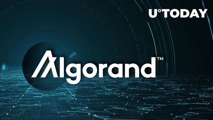 Algorand (ALGO) Wallet Exploit: Here's Latest Update