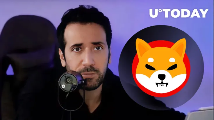 David Gokhshtein Hurt by Shiba Inu (SHIB) After Shibarium Incident