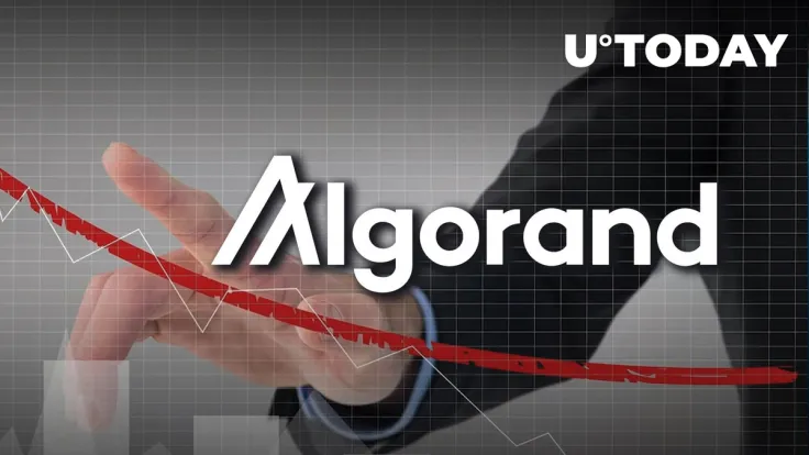More than 98% of Algorand (ALGO) Addresses Are in Loss, Here's How to Turn Tide