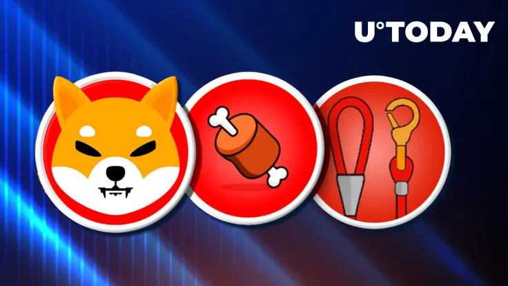 Shiba Inu (SHIB), BONE, LEASH Prices Recover as Community Fights FUD