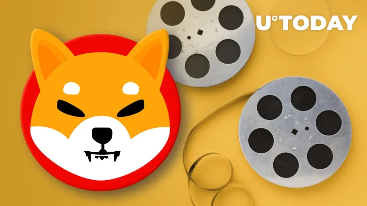 Lead of Shiba Inu Might Be in Search of Actress for Shiba Movie, This SHIB Enthusiast Hints