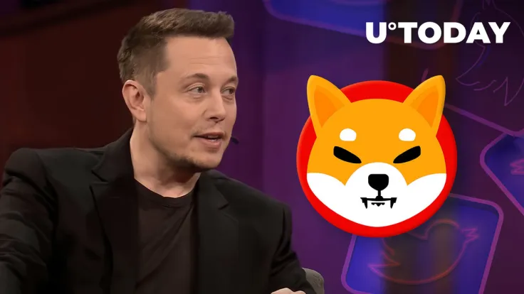 Elon Musk's Meme Tweet Causes This Reaction of Shiba Inu Lead