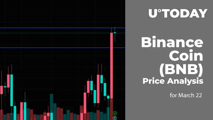 Binance Coin (BNB) Price Analysis for March 22