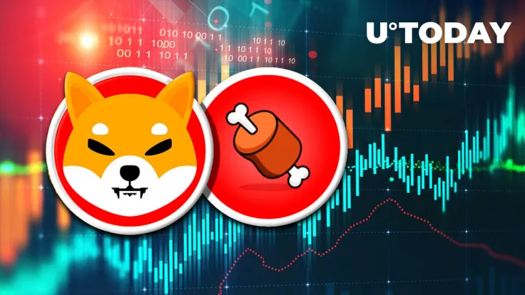 Shiba Inu Rival SHIBONE INU up 57%, Here's Why This Growth Is Different