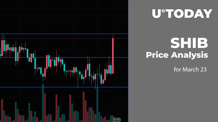 SHIB Price Analysis for March 23