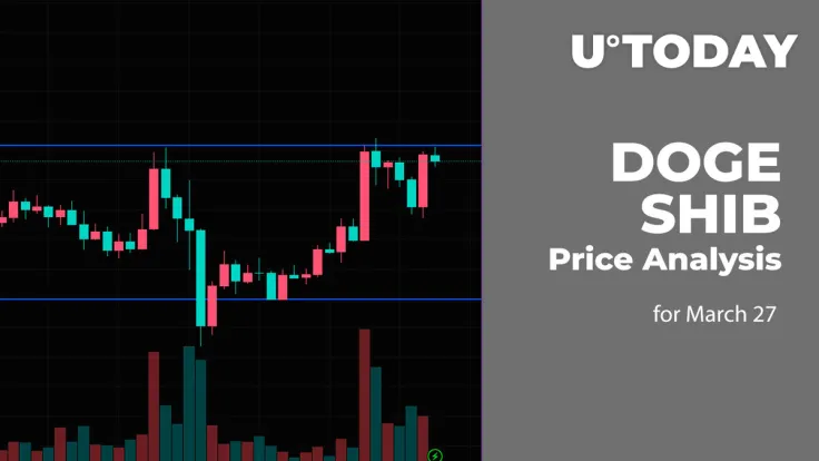 DOGE and SHIB Price Analysis for December 27