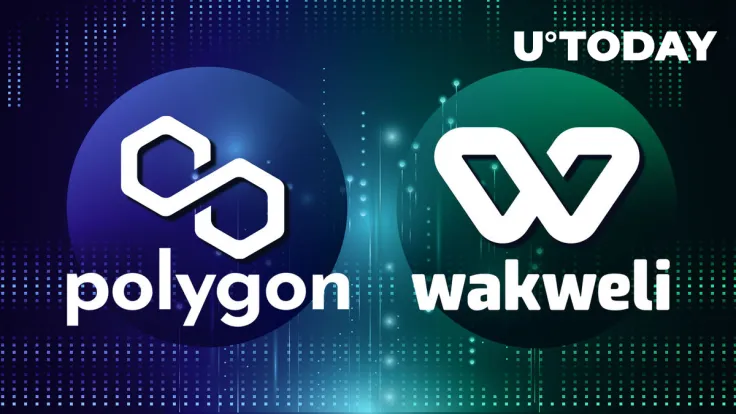 Wakweli and Polygon Join Forces: Revolutionizing NFT Authenticity Through Web3 Infrastructure