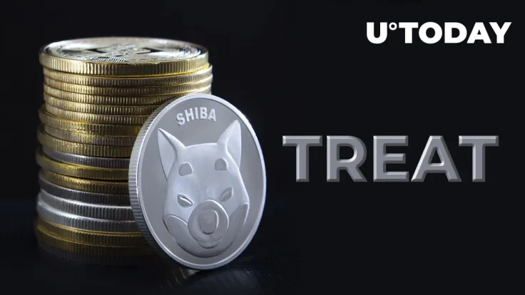 Shiba Inu (SHIB) Community Urged to Beware of TREAT Scam Tokens