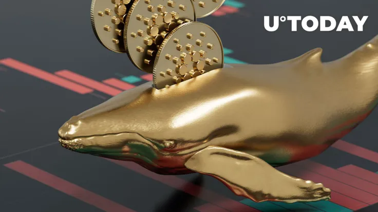 Cardano (ADA) Whales Rapidly Dropping Their Holdings: What's Happening?