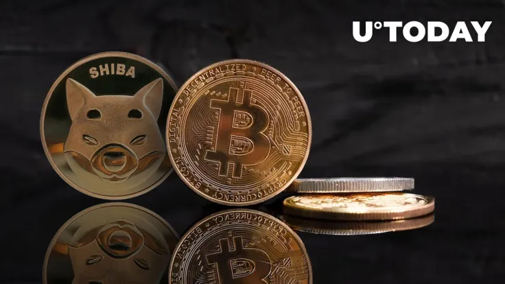 Shiba Inu (SHIB), Bitcoin (BTC) Now Accepted by This U.S. Travel Company: Details